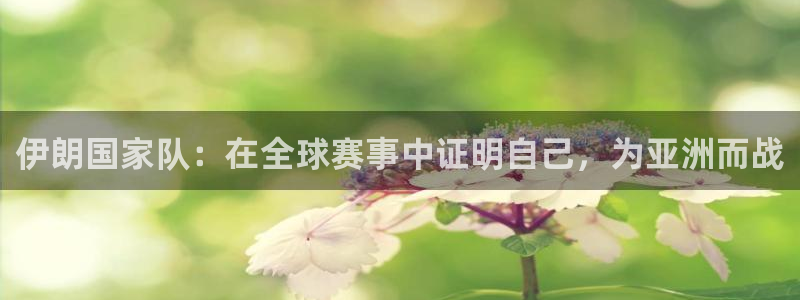 2026世界杯对阵图：伊朗国家队：在全球赛事中证明自己，为亚洲而战