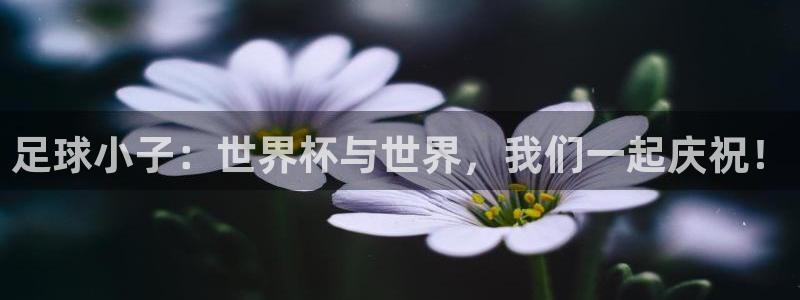 足球比分直播世界杯：足球小子：世界杯与世界，我们一起庆祝！