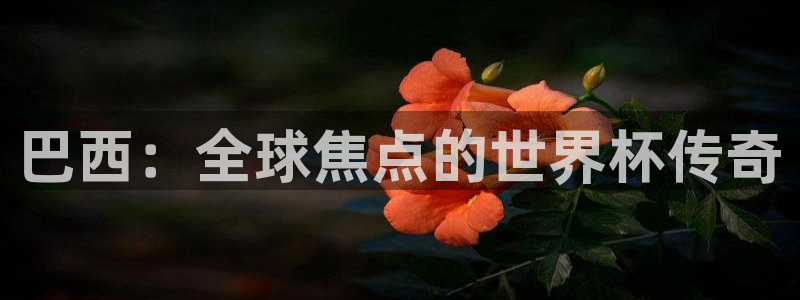 世界杯2026比赛时间表：巴西：全球焦点的世界杯传奇
