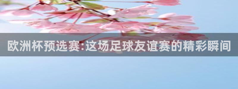 2026世界杯赛程表完整版：欧洲杯预选赛:这场足球友谊赛的精彩瞬间