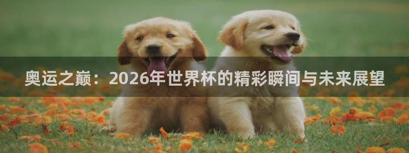 世界杯足球2026：奥运之巅：2026年世界杯的精彩瞬间与未来展望