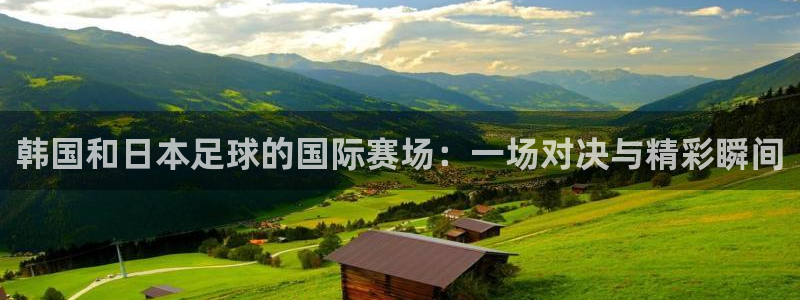 西超杯直播：韩国和日本足球的国际赛场：一场对决与精彩瞬间