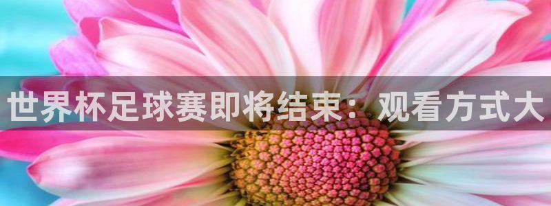 世界杯16强赛程表：世界杯足球赛即将结束：观看方式大