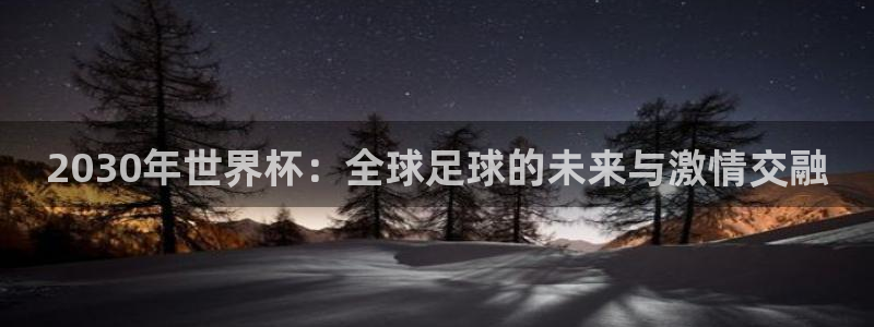 世界杯足球赛2026：2030年世界杯：全球足球的未来与激情交融