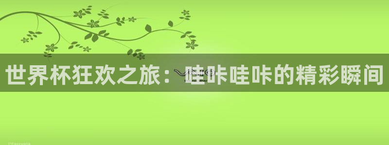 世界杯赛程2026：世界杯狂欢之旅：哇咔哇咔的精彩瞬间