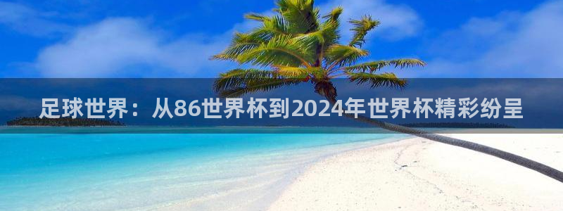 世界杯决赛预测：足球世界：从86世界杯到2024年世界杯精彩纷呈