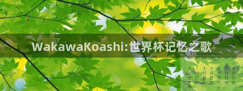 世界杯小组赛赛程：WakawaKoashi:世界杯记忆之歌