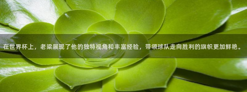 今天所有足球赛程表：在世界杯上，老梁展现了他的独特视角和丰富经验，带领球队走向胜利的旗帜更加鲜艳。