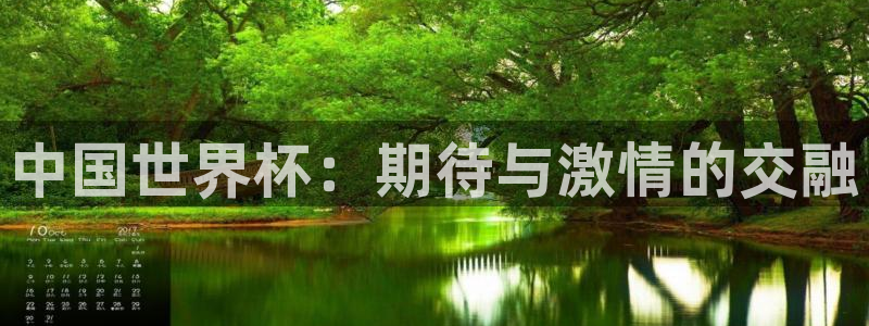2026足球世界杯赛程时间表：中国世界杯：期待与激情的交融